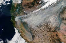 Planes can no longer fly over Dixie Fire smoke plume as it climbs to 22,000 feet
