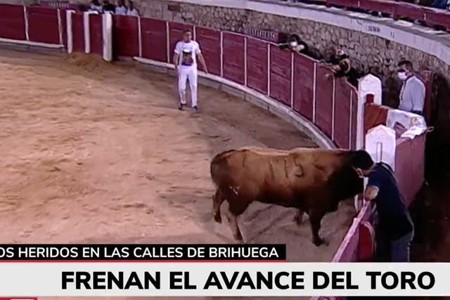 <p>Screengrab from footage showing the bull escaping the arena during the ‘concurso de recortadores’, subsequently making its way to the street</p>
