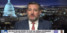 Trump-loving Ted Cruz mocked for claiming Democrats are ones with ‘herd mentality’ for one man