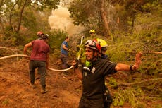 Massive wildfire on Greek island of Evia devours forests