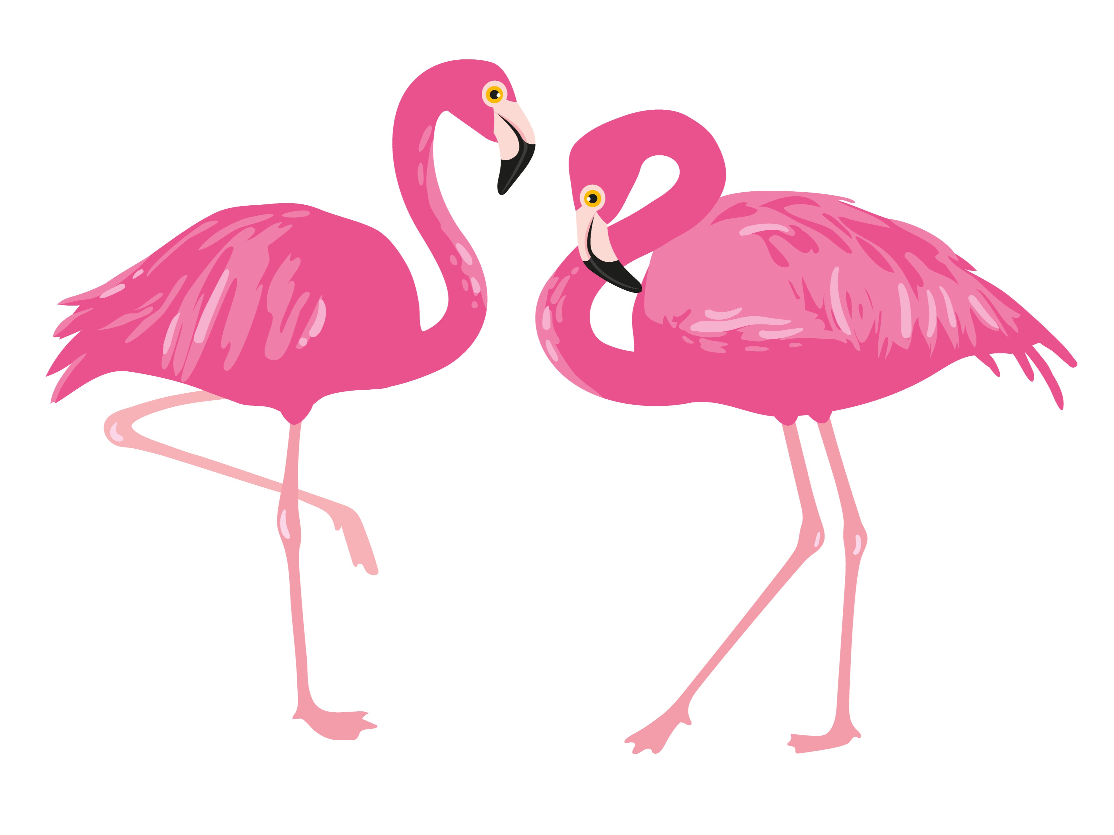 Flamingo Pose Yoga | Yoga Sequences, Benefits, Variations, and Sanskrit  Pronunciation | Tummee.com