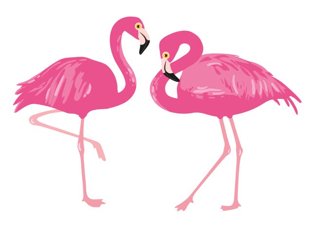 <p>The ‘flamingo’ is one of Instagram’s most popular poses</p>