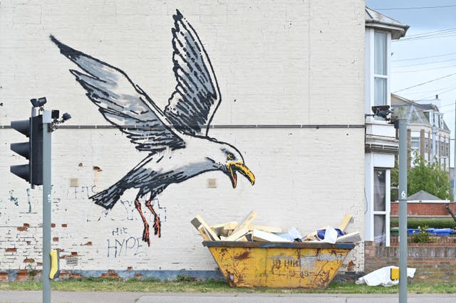 <p>The people who own the property where Banksy painted this seagull are interviewed</p>