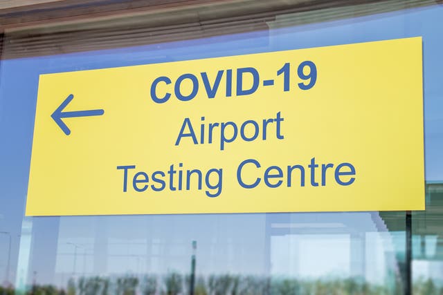 <p>MPs are calling for a cap on the cost of Covid travel testing</p>