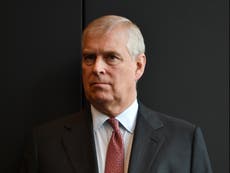 Prince Andrew sued over Epstein sex abuse claims: What happens next?