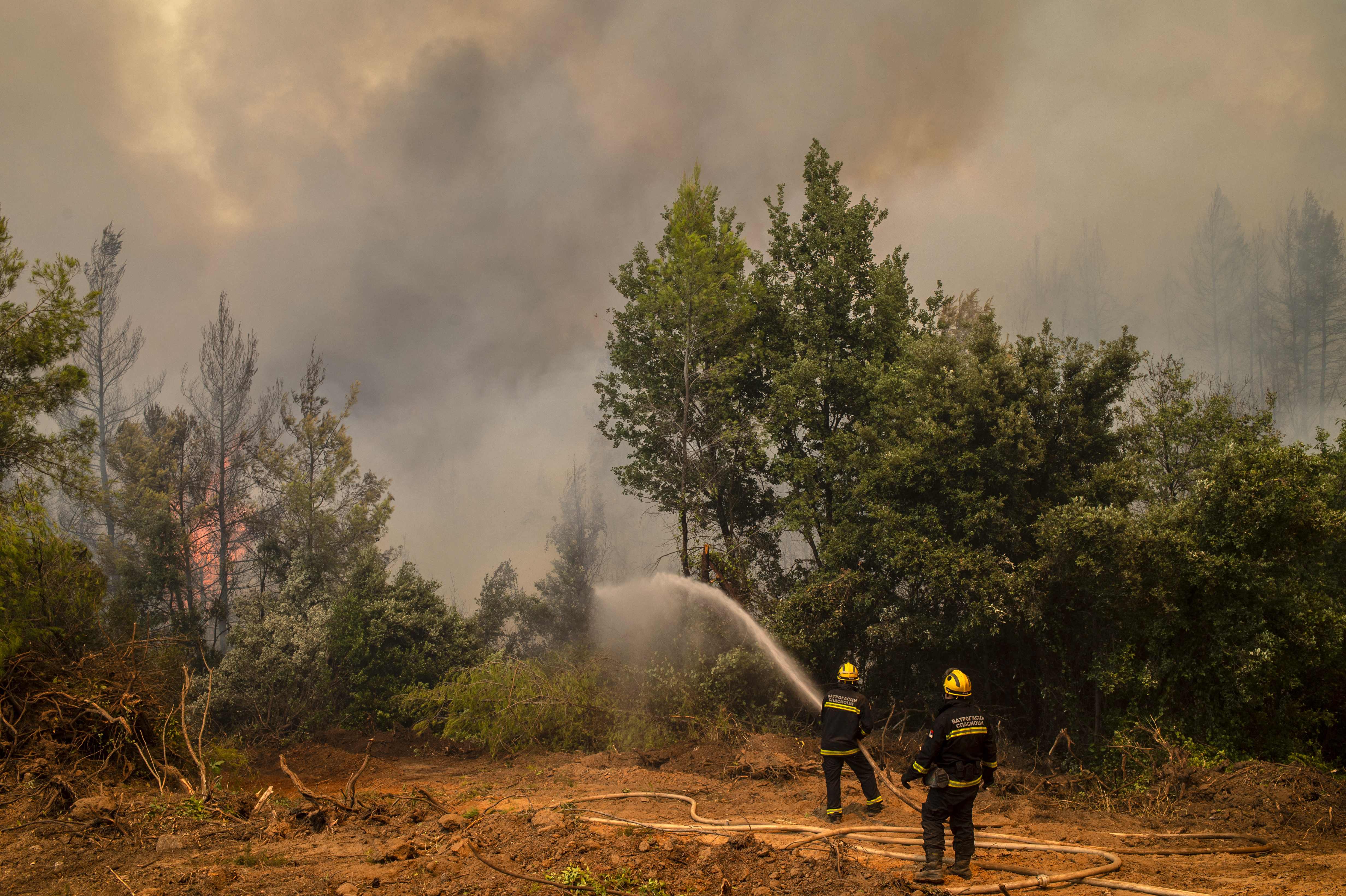 Firefighters from Serbia use a water hose to extinguish a forest fire near the village of Avgaria on Evia