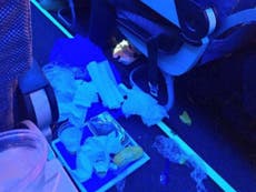 Airline passenger criticised for dumping inflight meal in plane aisle