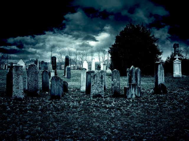 <p>Burial in a cemetery could soon be a thing of the past </p>