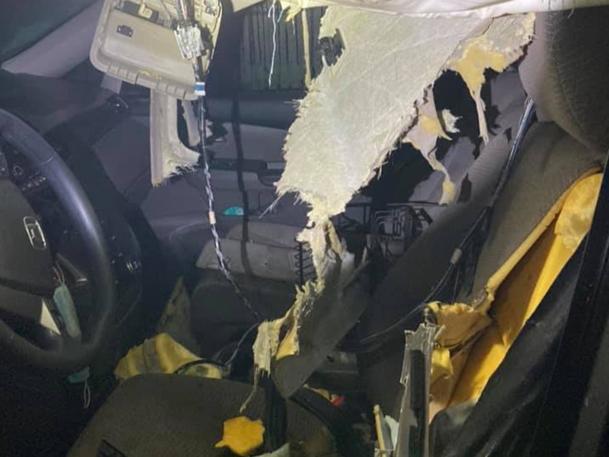 Video shows moment bear freed after getting stuck in car and ripping it ...