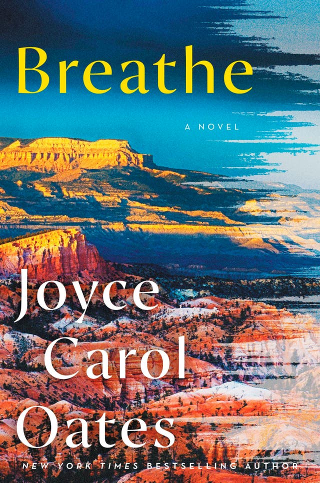 Book Review - Breathe