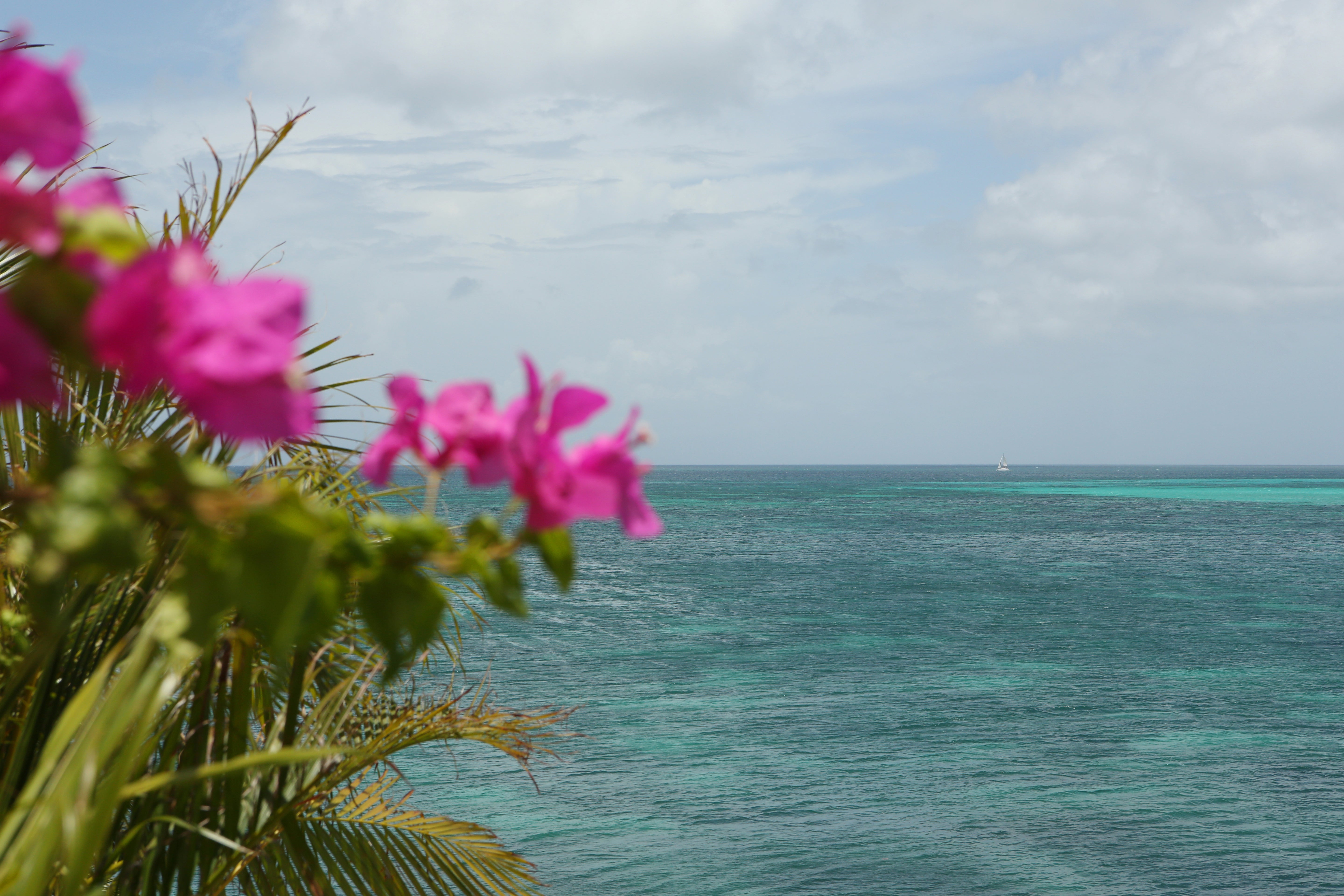 The view out to sea from Sheer Rocks at Cocobay Resort on the west coast of Antigua. Picture date: Saturday, July 24, 2021. Photographer: Johnny Green/PA