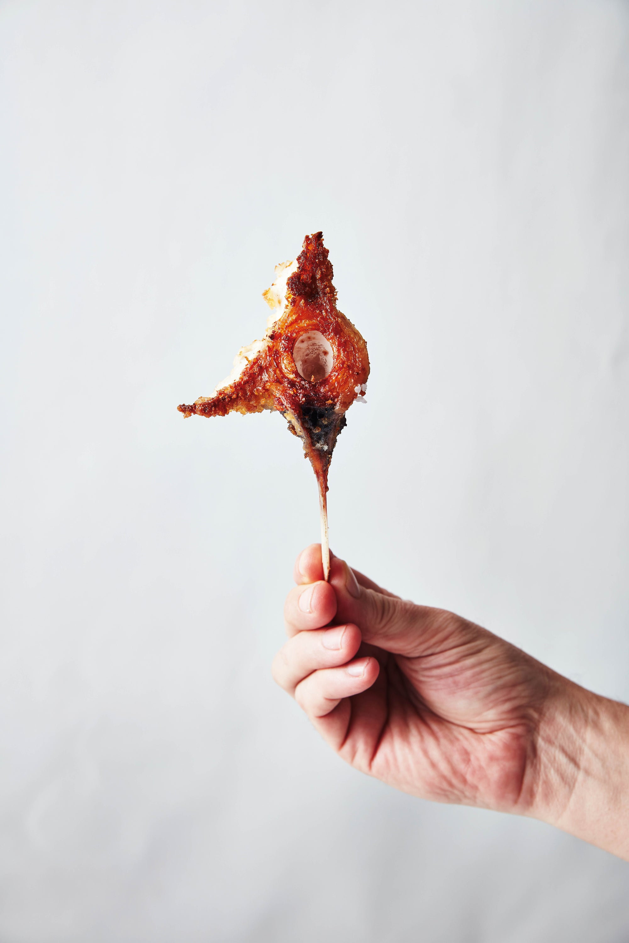 Undated Handout Photo of swordfish schnitzel from TAKE ONE FISH: The New School of Scale-to-Tail Cooking and Eating BY Josh Niland (Hardie Grant, £26). See PA Feature FOOD Niland. Picture credit should read: Rob Palmer/PA. WARNING: This picture must only be used to accompany PA Feature FOOD Niland.
