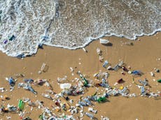 Coca-cola bottles make up 16 per cent of plastic waste on UK beaches, analysis finds