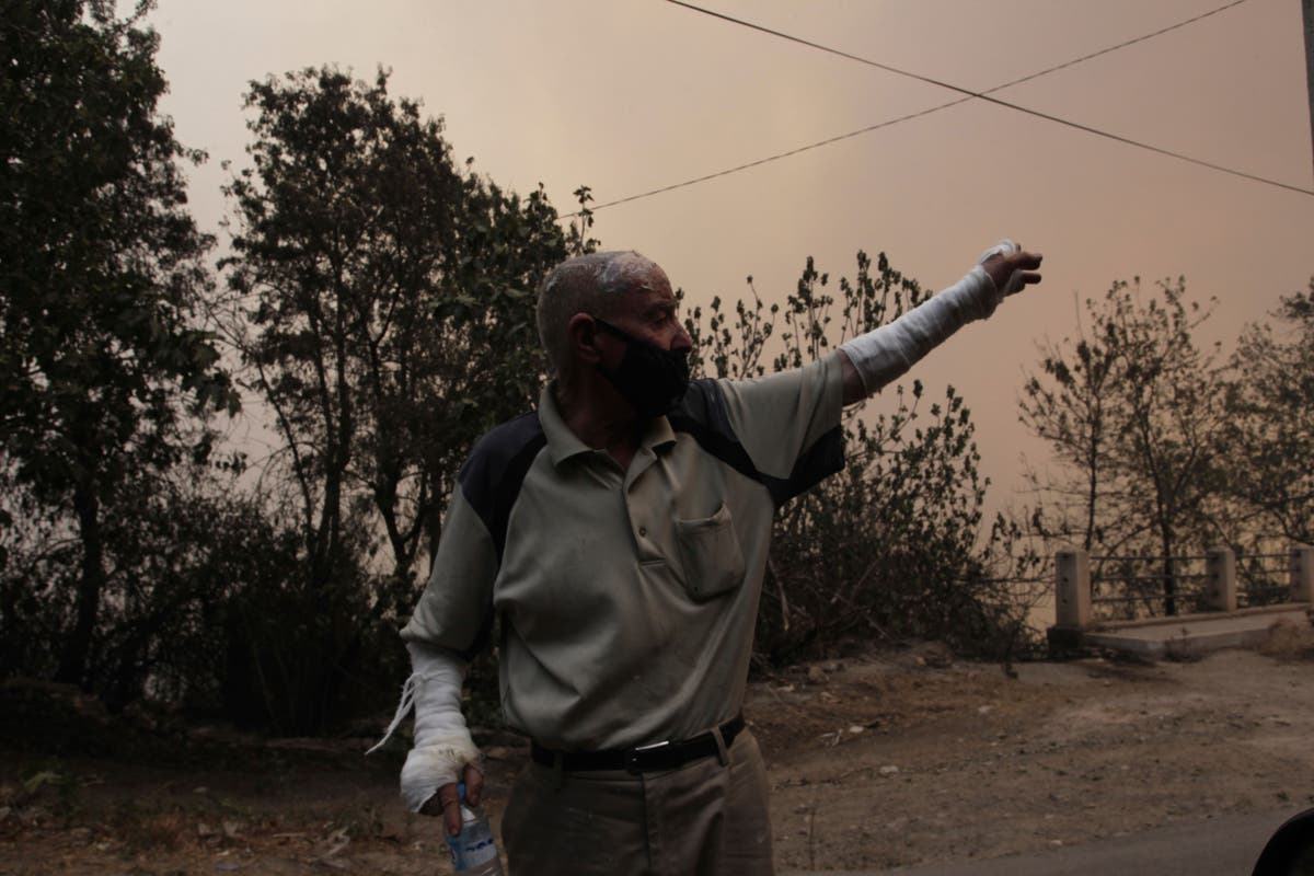 Algerian wildfires leave dozens of soldiers and civilians dead