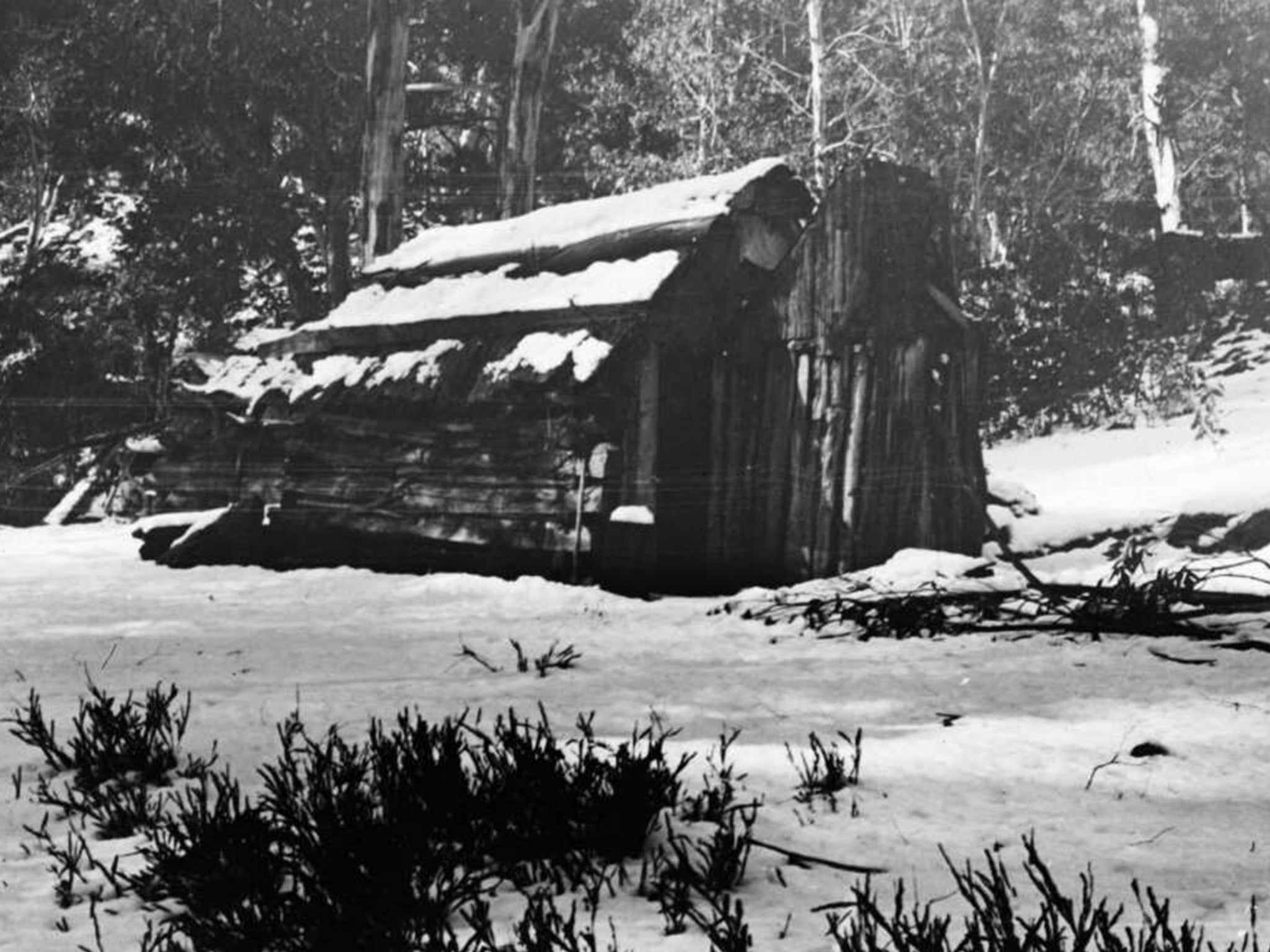 Old hut in Victorian alps, approximately 1920