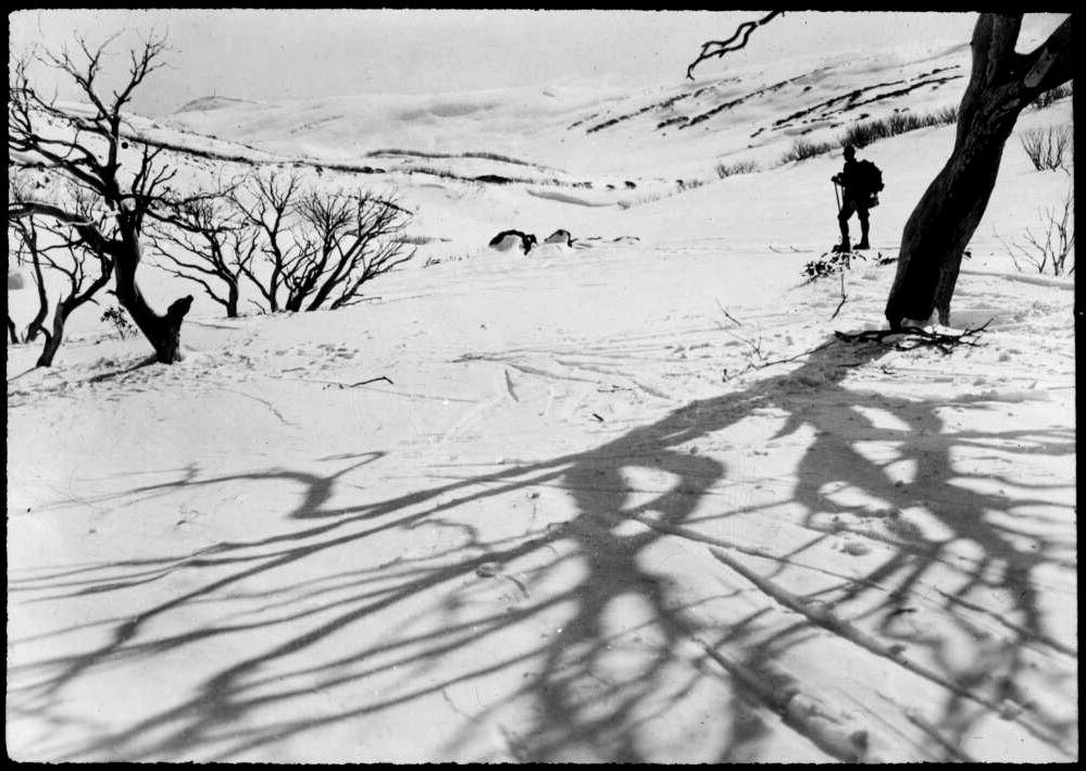 A lone hiker in the Victorian alps, 1920s