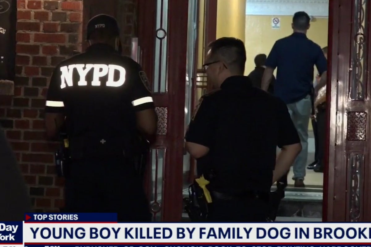 Toddler mauled to death by family dog in New York | The Independent