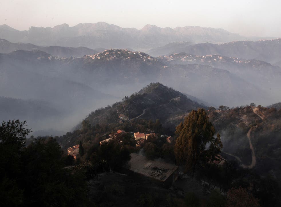 ARGELIA INCENDIOS