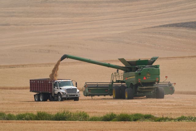 Drought-Washington Wheat Woes