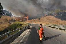 Wildfire smoke could make you more prone to catching Covid, health authorities warn