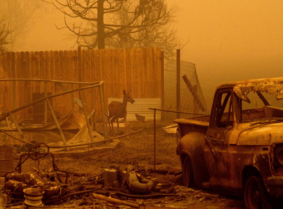 EEUU-INCENDIOS