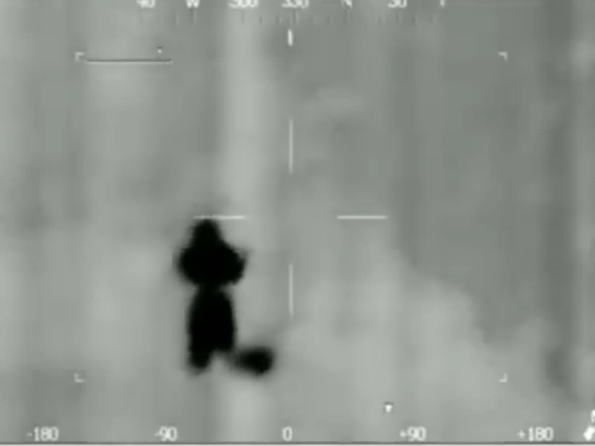 Police helicopter finds missing six-year-old girl asleep in field half mile from home