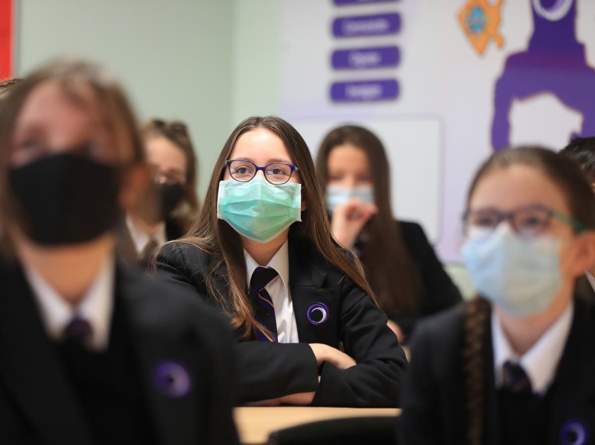 Air purifiers and ultraviolet lights to be trialled in schools in bid to tackle Covid