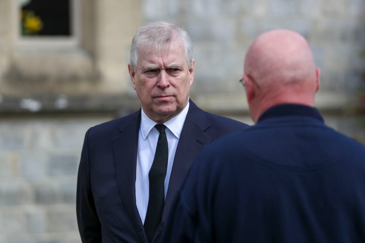 London Police Chief says Prince Andrew's case is under ...