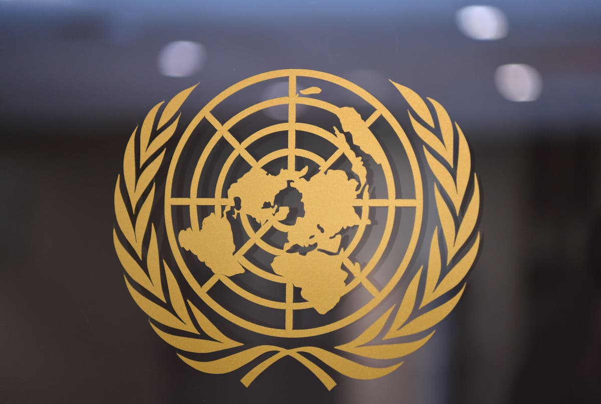 UN experts call for moratorium on sales of &lsquo;life threatening&rsquo; spyware technology
