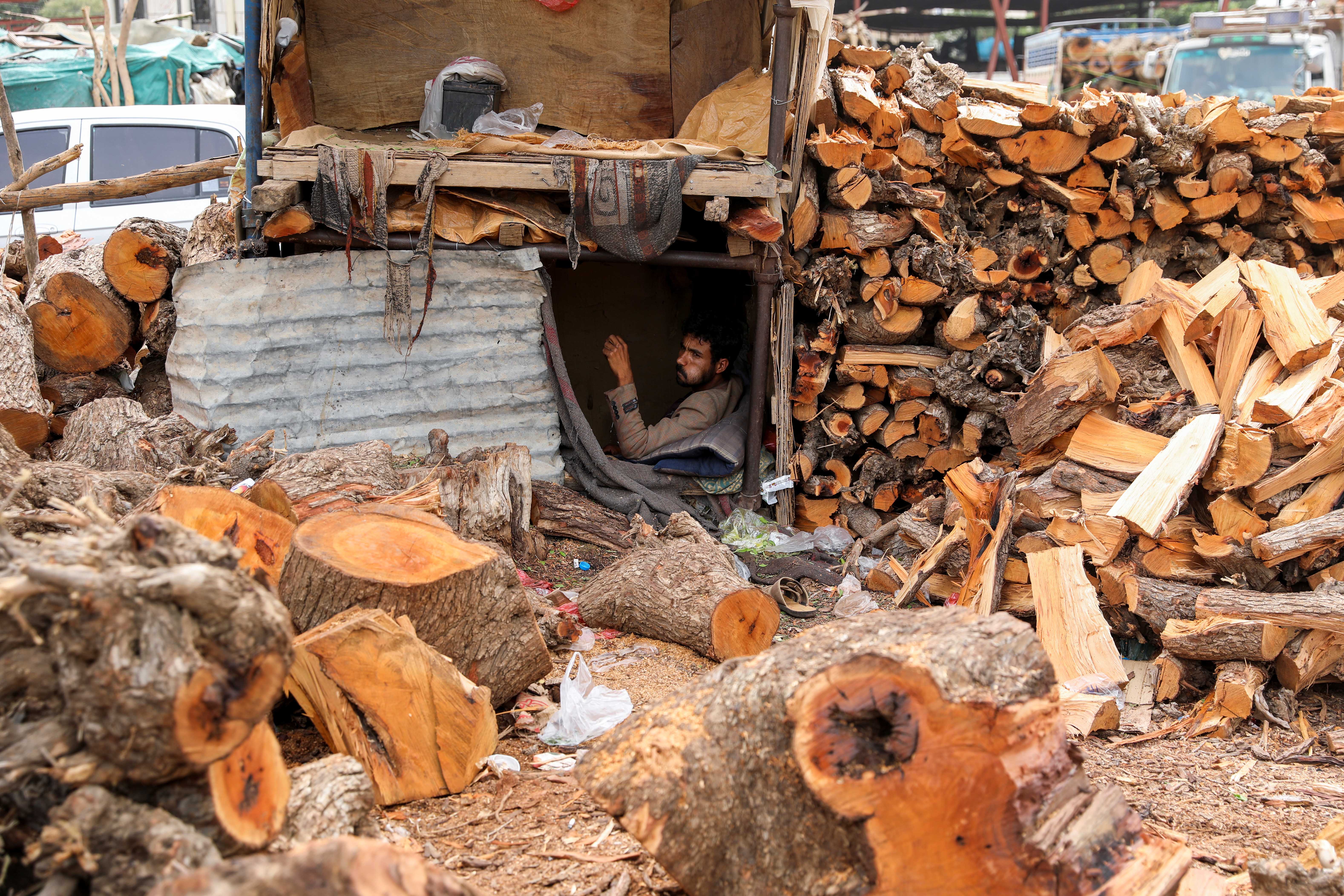 A vendor waits for customers at a firewood market in Sana’a
