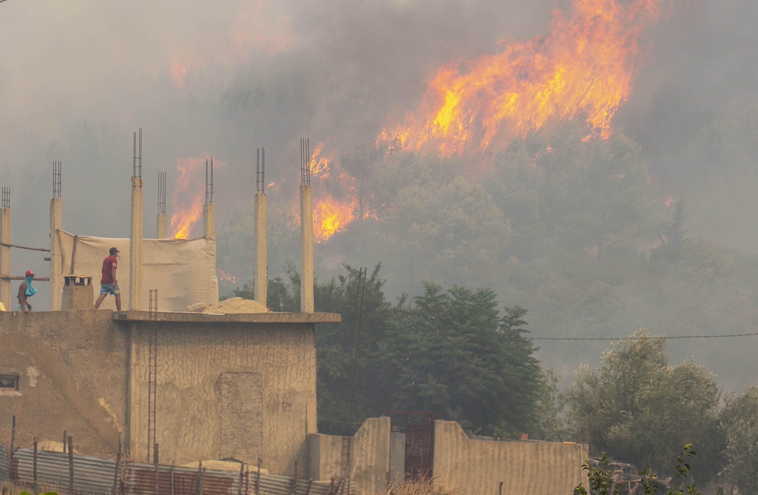 Fires destroy 450 hectares of forests in Tunisia earlier this month