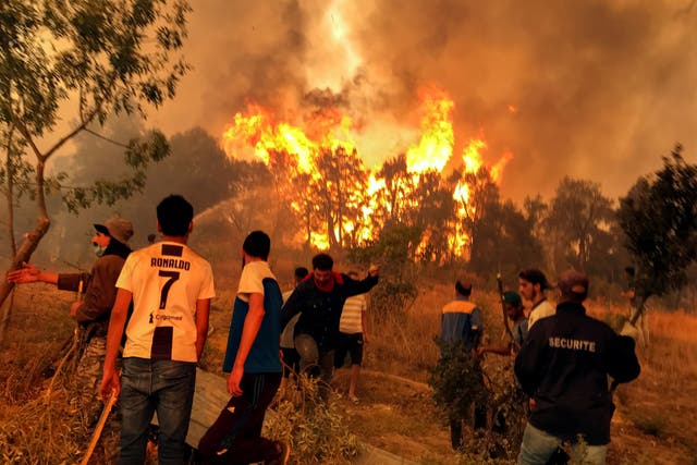 <p>Villagers attempt to put out a wildfire, in Achallam village, in the mountainous Kabylie region</p>