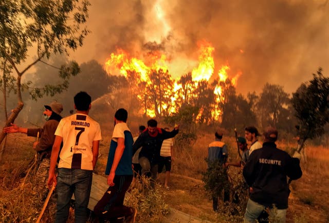 <p>Villagers attempt to put out a wildfire, in Achallam village, in the mountainous Kabylie region</p>