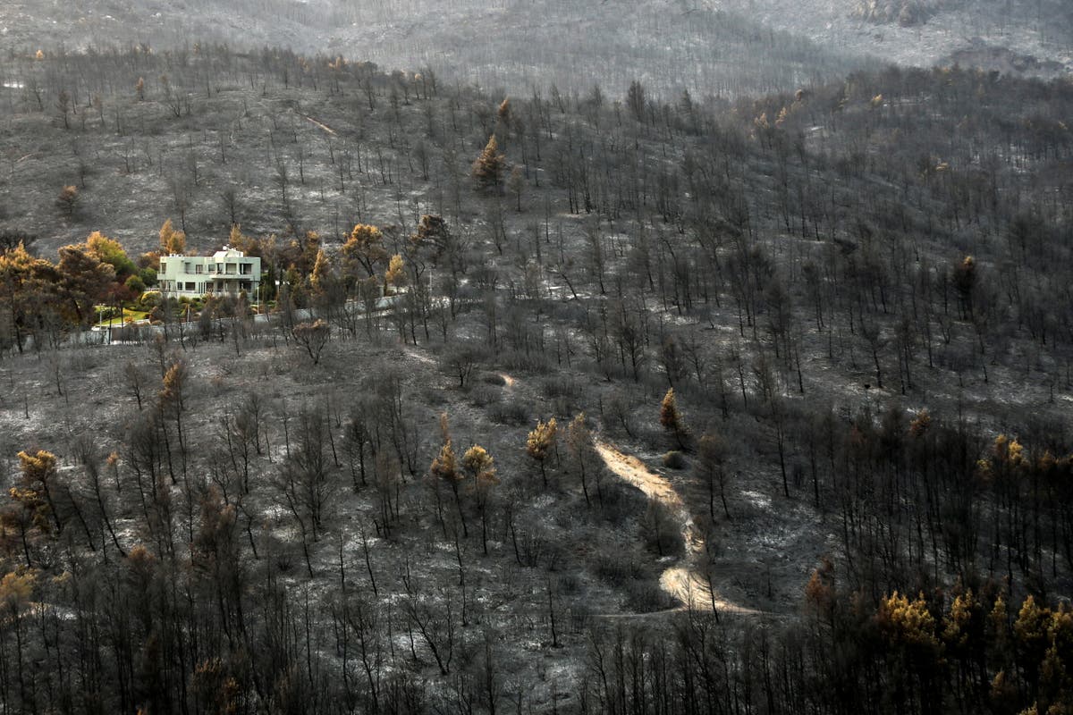 What can we learn from Europe’s blazing summer?