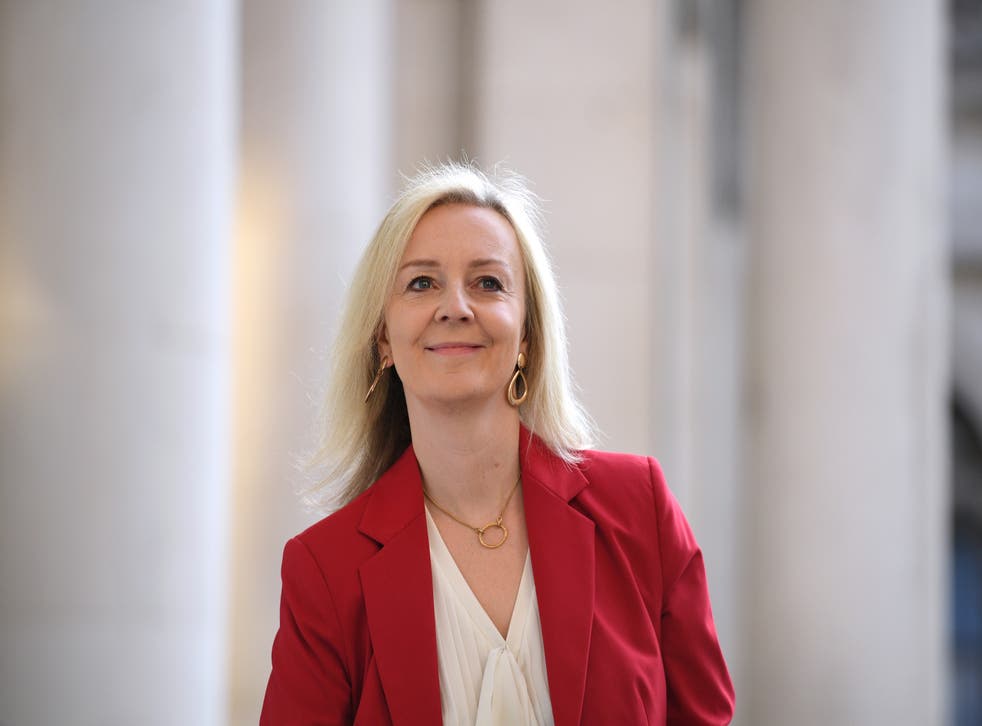 <p>International Trade Secretary Liz Truss is taked with securing new trde deals for the UK (PA Archive)</p>