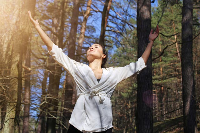 The Japanese believe forest bathing has a calming effect (Alamy/PA)