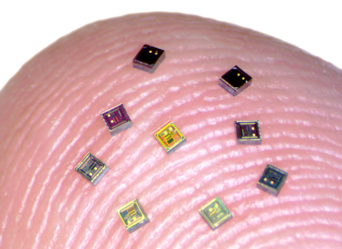 Tiny chips called neurograins seen here are able to sense electrical activity in the brain and transmit that data wirelessly