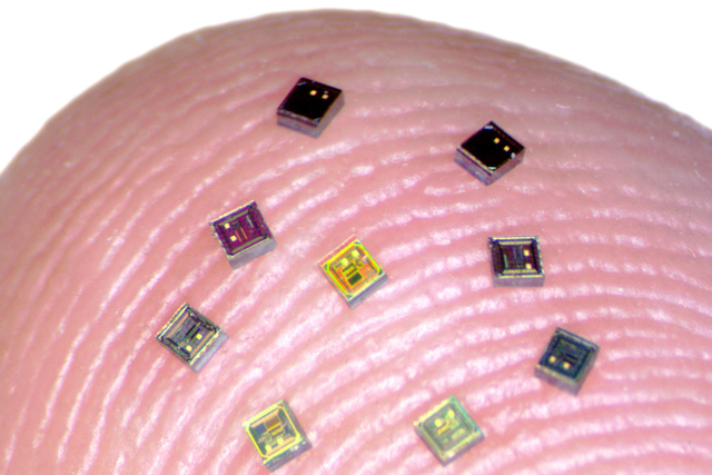 <p>Tiny chips called neurograins seen here are able to sense electrical activity in the brain and transmit that data wirelessly</p>
