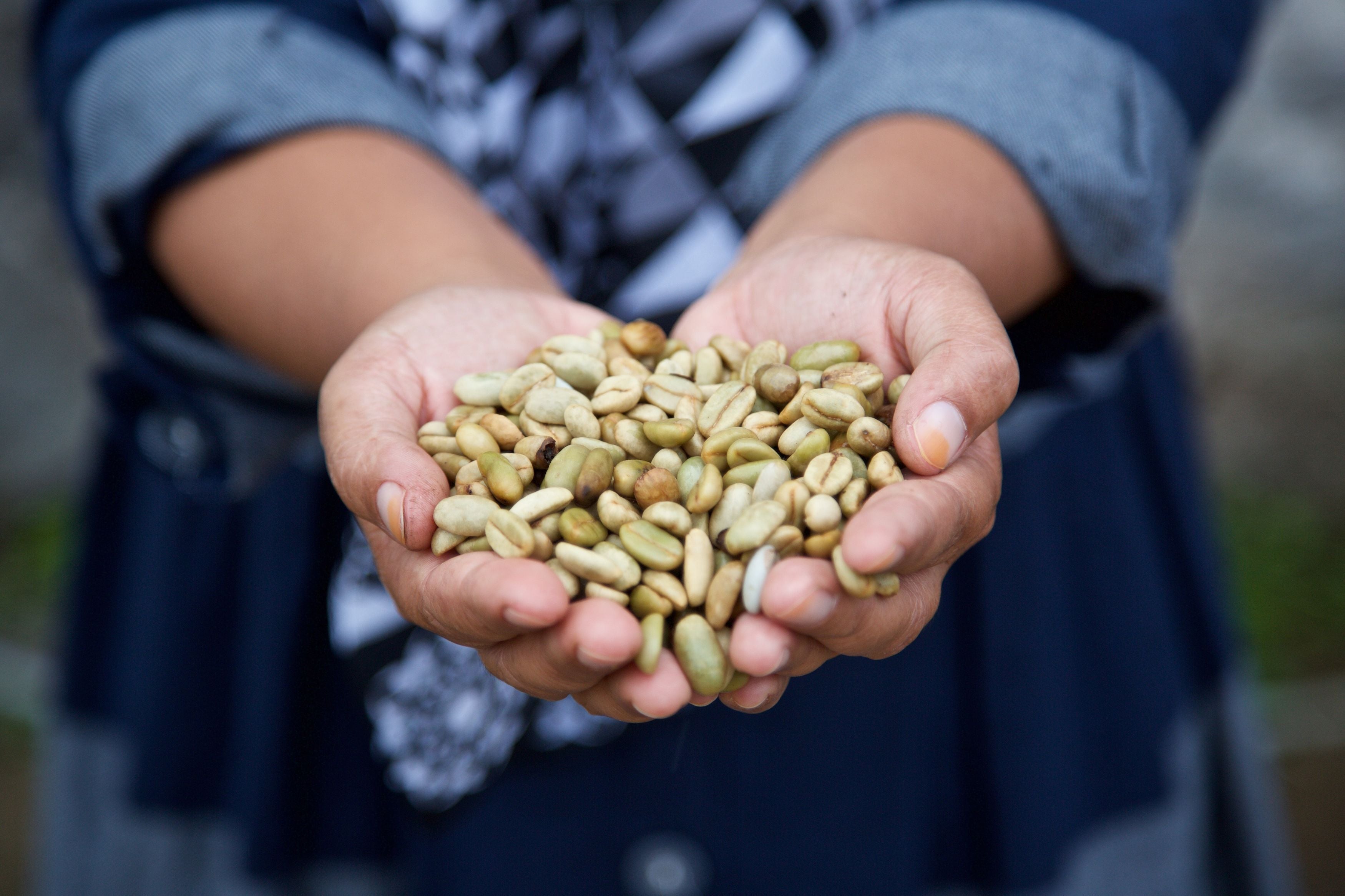 Ingredient business Olam is planning a listing in London (James Robinson/Fairtrade Foundation/PA)