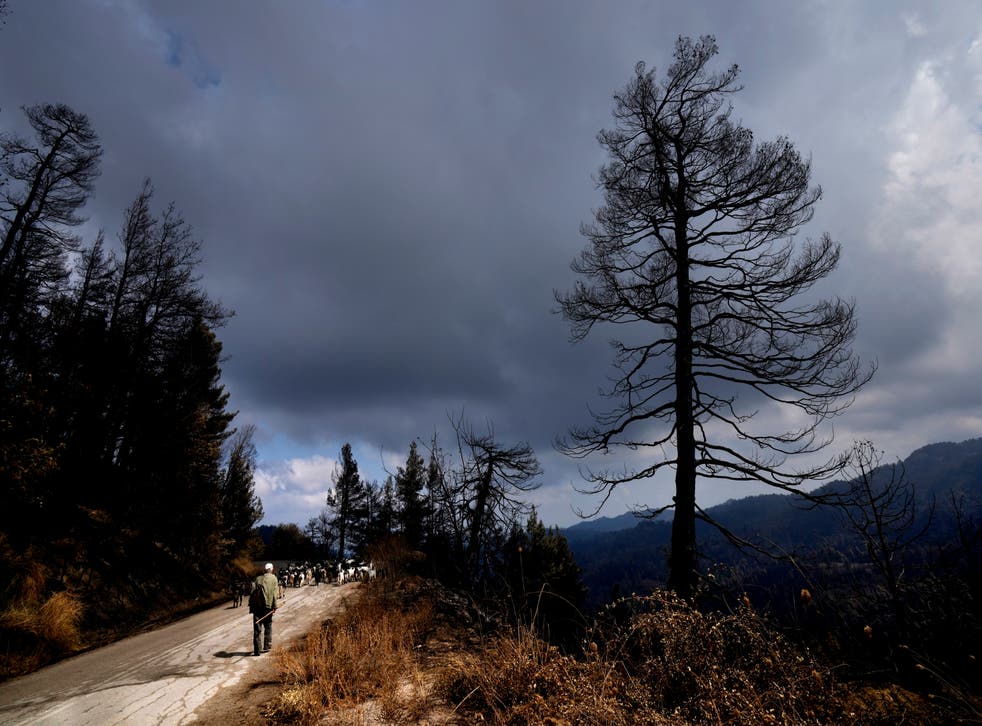 EUR-GEN GRECIA-INCENDIOS