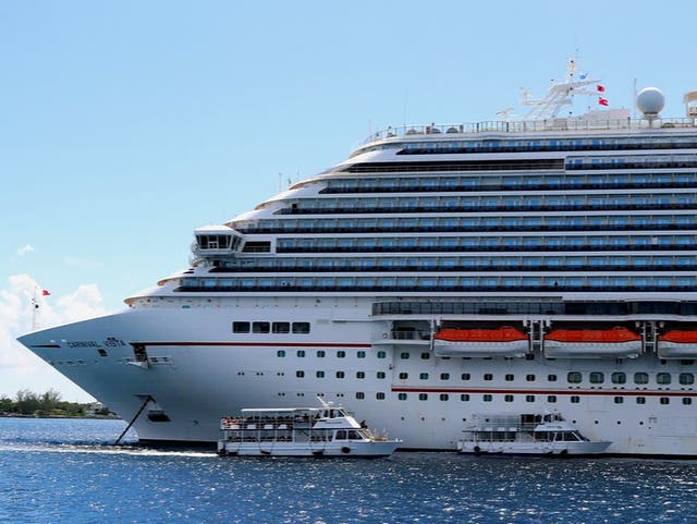 <p>Covid cases reported Carnival Vista cruise liner</p>