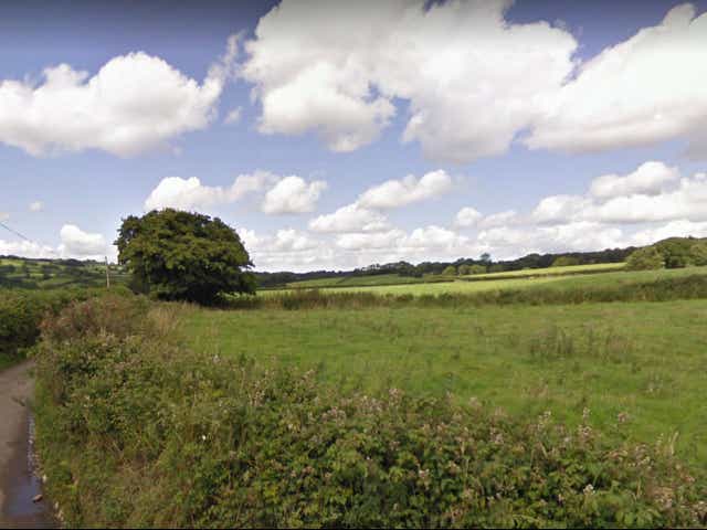 <p>Farmland near Buckland St Mary, Somerset  </p>