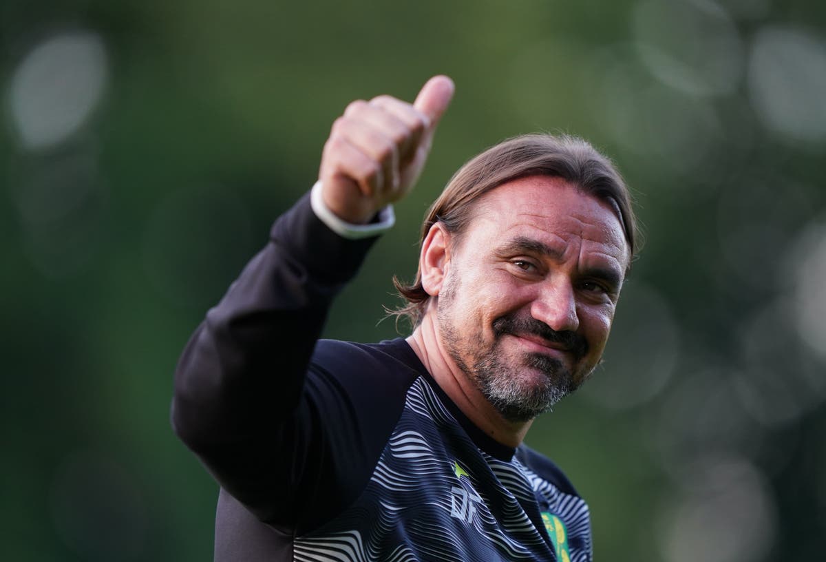 Daniel Farke demands the &lsquo;maximum&rsquo; from newly-promoted Norwich