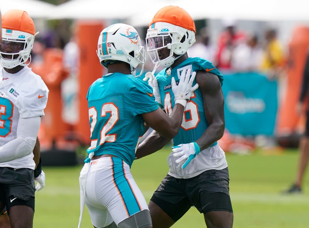 DOLPHINS-HOLLAND