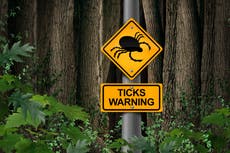 Lyme disease: What are the symptoms and how do you catch it?