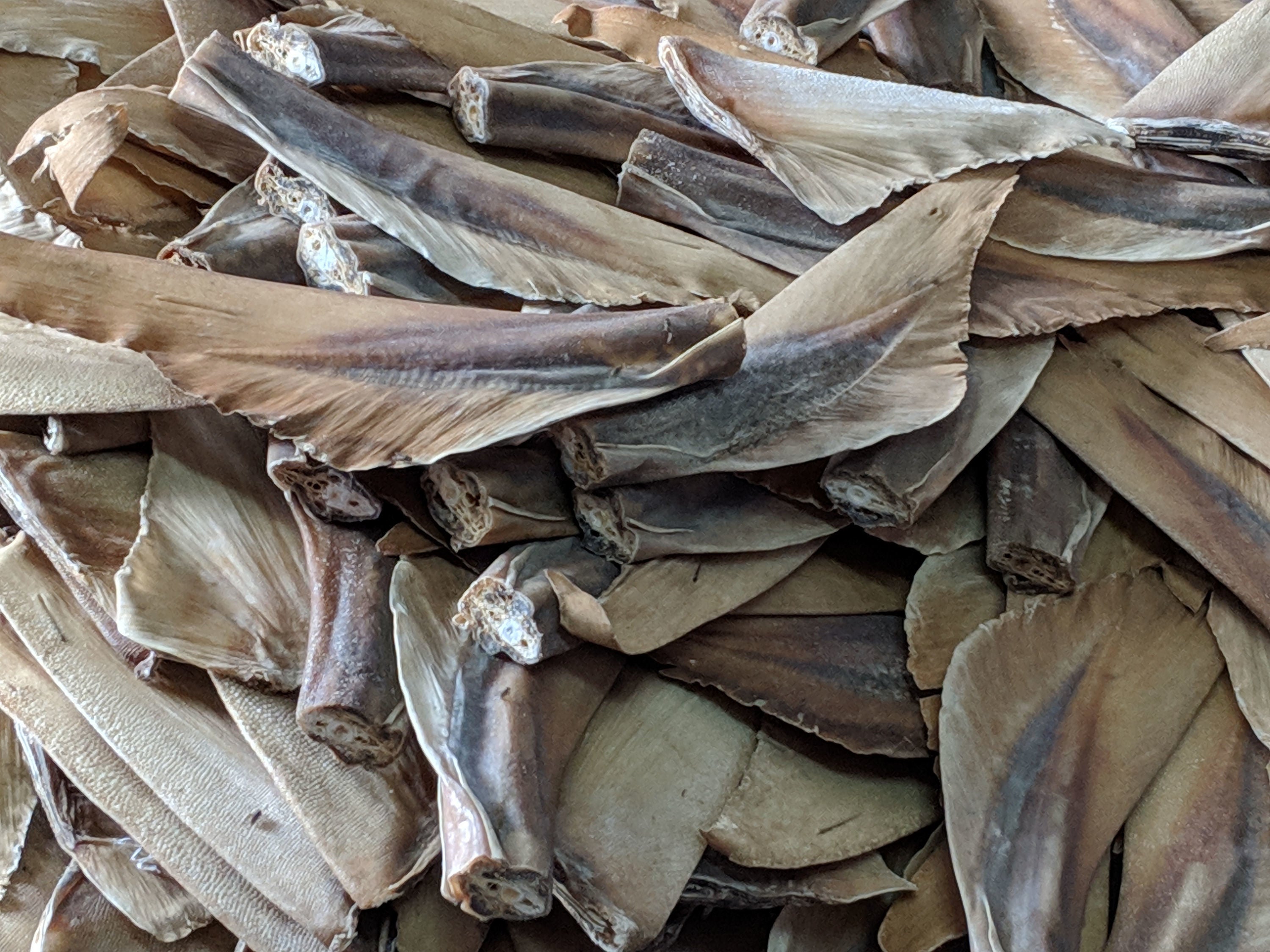 Importing and exporting detached shark fins, including shark fin products such as tinned shark fin soup, is set to be banned by the UK government