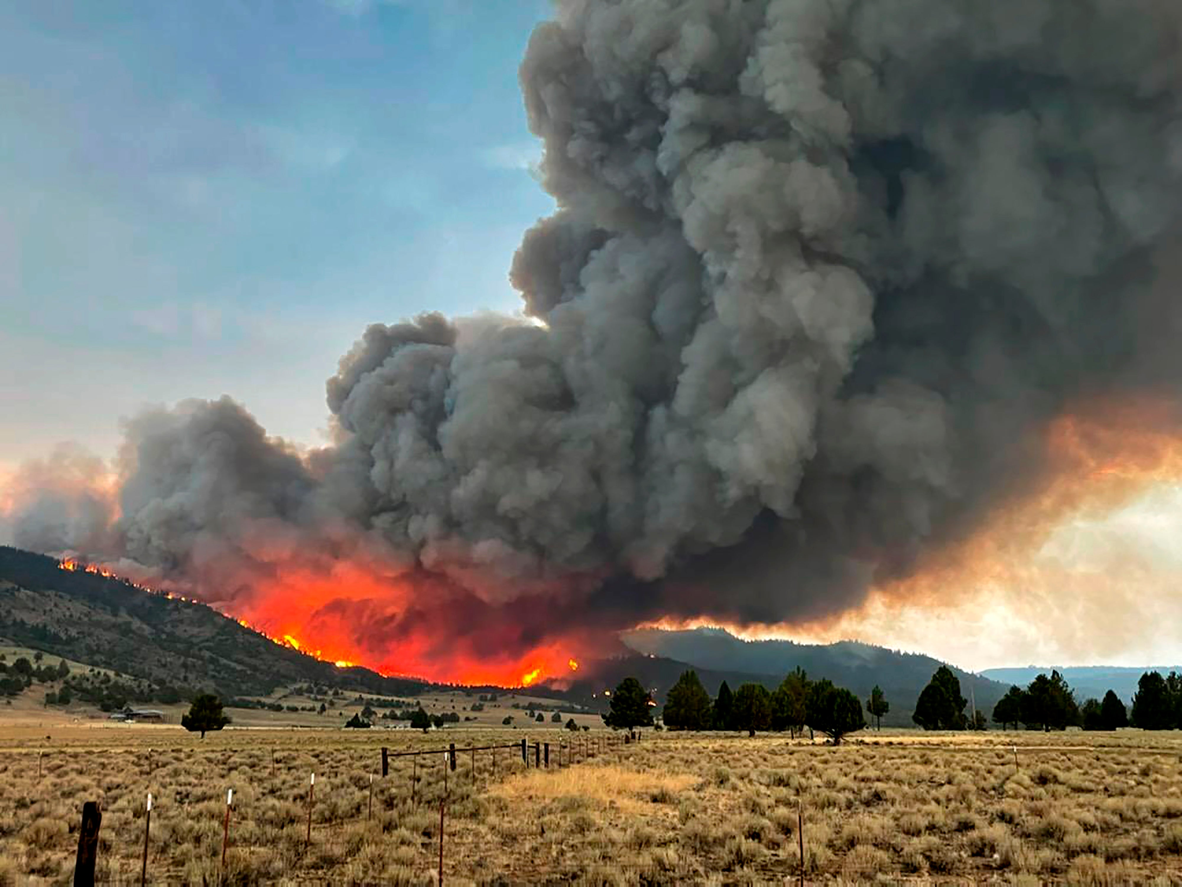 <p>A wildfire burns from the Patton Meadows fire in southern Oregon on 12 August, 2021</p>