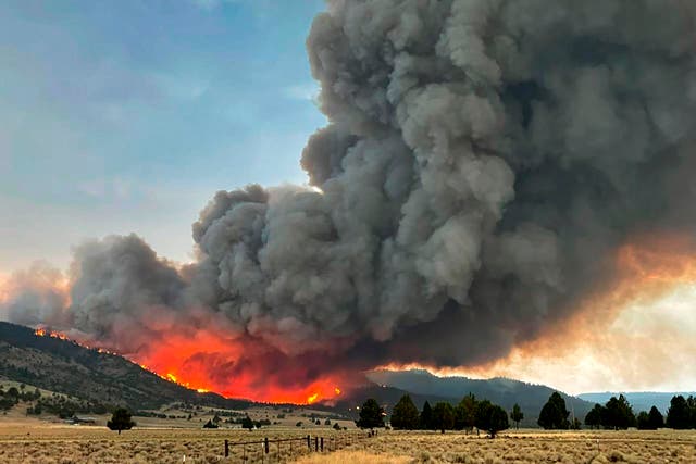 <p>A wildfire burns from the Patton Meadows fire in southern Oregon on 12 August, 2021</p>