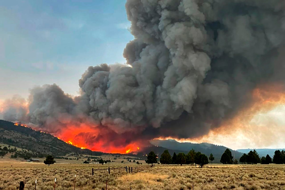 Wildfire smoke linked to 19,000 additional Covid cases in US West and ...
