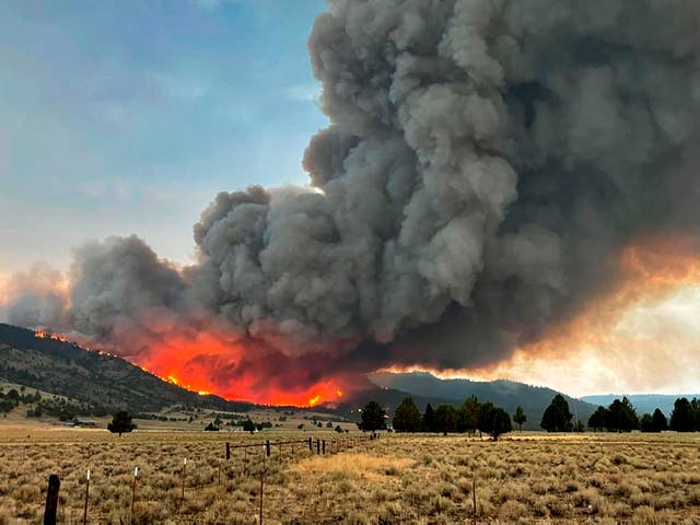 Un incendio forestal se quema desde el incendio de Patton Meadows en el sur de Oregon el 12 de agosto de 2021